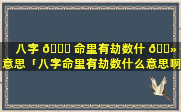 八字 🕊 命里有劫数什 🌻 么意思「八字命里有劫数什么意思啊」